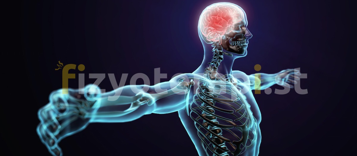Nöromusküler Hastalıklar ve Spinal Musküler atrofi (SMA)